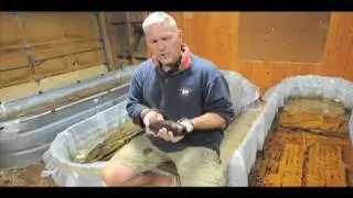 Civil War Shipwreck off Ft. Fisher