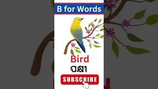 B for words|| #bforwords #oktv #bforball #bforbook #aforapple #aforapple