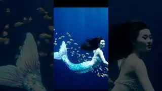 Siren (the mythical sea creature)