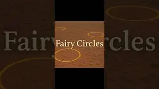 Fairy Circles of Namibia | Earth&rsquo;s Silent Mystery