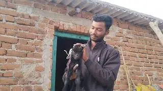 Sokkon Ki Talash Depression Mediseen Vlog 🫢