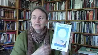 Boktips: Felefeber av Elin Hansson
