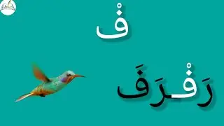 تعلم حرف الفاء مع الحركات القصيرة learn to read the Arabic alphabet