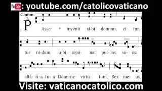 Passer invenit | Canto Gregoriano | Gregorian Chant
