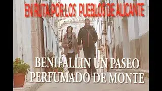 54   BENIFALLIM UN PASEO PERFUMADO DE MONTE