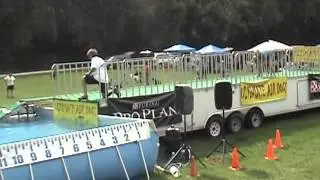 Ultimate Air Dogs - Max.