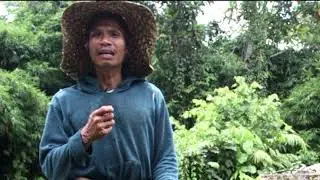 Masyarakat Adat #SaveMeratus