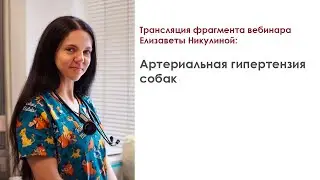 Трансляция фрагмента интенсива Елизаветы Никулиной: &ldquo;Артериальная гипертензия собак&rdquo;