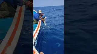 Sea fishing #fishermen #fishingfreakz #fishing #fish
