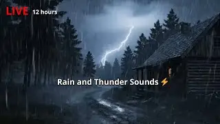 🔴 Rain and Thunder Sounds ⚡| Deep Sleep Rainstorm with Thunderclaps & Black Screen for Bedtime 😴