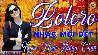 Ca Nhạc BOLERO TRỮ TÌNH HAY, MỚI ĐÉT 2026 - Nhạc Vàng Xưa Vừa Ra Lò CỰC ÊM TAI & SAY ĐẮM LÒNG NGƯỜI