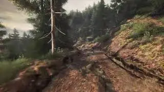 TRYING TO FIND ETHAN