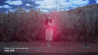 Infrared photography test footage