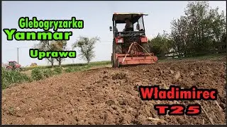 Glebogryzarka Yanmar  | Uprawa | Władimirec T25 2024
