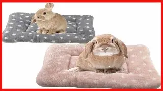 Quality product -  Small Animal Plush Bed, Bunny Bed, for Bunny, Squirrel, Hedgehog, Pink and Gray 2