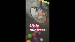 A Montage for Podo Brunhilda the Ferret RIP 1/24/26