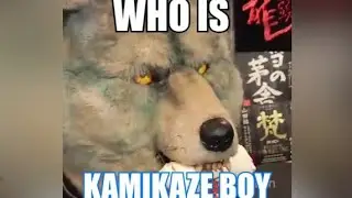 Who is Kamikaze Boy?