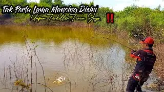 UMPAN CASTING GABUS TERAMPUH DI AIR KERUH