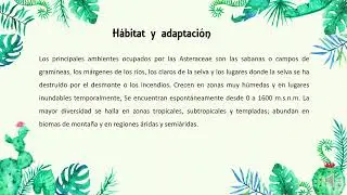 VIDEO_ORDEN ASTERALES FAMILIA ASTERACEAE