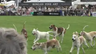 The Game Fair