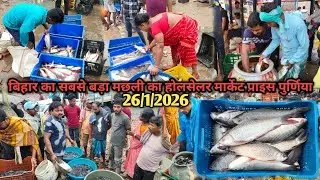 मछली होलसेलर मार्केट प्राइस बिहार|सोमवार के दिन मछली का होलसेलर रेट|fish wholesale market bihar 