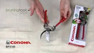 Corona BP3160