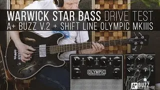 Warwick Star Bass drive test: A+ Buzz V.2 + Shift Line Olympic MkIIIS