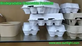 Eco-friendly 100% Biodegradable Compostable kraft cup to-go box egg tray holder China factory