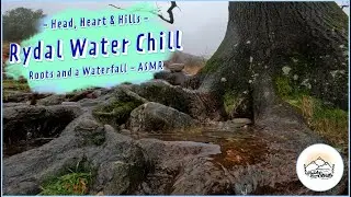 Rydal Water Chill - Roots and a Waterfall - ASMR