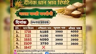 धान 🌾 का भाव (1509 , 1718 ,1121 ,1885) Magroni Mandi by Girish Bamoriya 04/02/2026