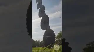 Helicopter Chainsaw !  #amazing #facts #interesting #innovation #experiment #technology #engineering