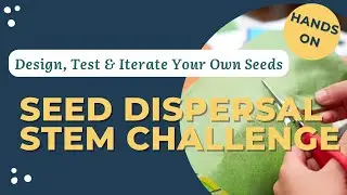 Seed Dispersal STEM Challenge | Hands-On Family Science Activity