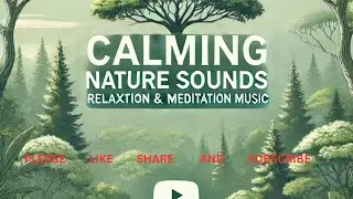Relaxing Natural Meditation Music | Calming Nature Sounds for Stress Relief | Mindful Wanderer