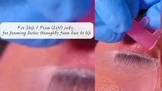 &lsquo;Glueless&rsquo; Lash Lift Shields