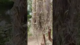 you tube short funny video #funny #comedy #jewel
