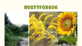Autumn/Late Summer in Kentucky - Memories