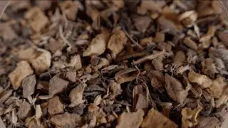 Licorice Spice Tea