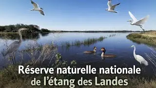 Une nuit en van dans un paradis naturel préservé