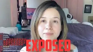 The Truth About Pokimane...