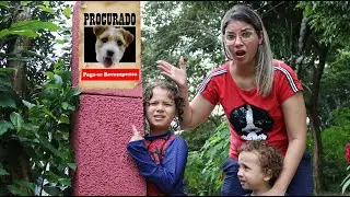 PERDEMOS NOSSO CACHORRO!  (Assista até o final!!)