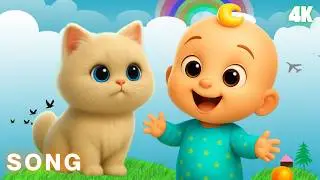 Cat Song for Kids 🐱 | Funny Cartoon Cats Singing & Dancing | Baby & Toddler Music 2025