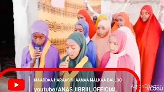 MAADDAA HARAASHII ✅️AANAA MALKAA BALLOO ARADDAA FULLEE NAGAYAA 💗MASHA ALLAH 🙏🙏