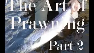 Salmon Fishing. The Art of Prawning Part2