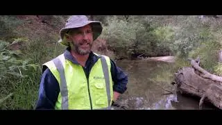 Environmental education and awareness