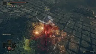 ELDEN RING Killing a save editor (WITHOUT GRAVITY)