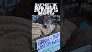 Family Gives Their Dog One Last Great Day