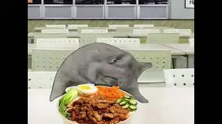 Daily Adventures of a Silly Kitty! #CatChronicles #FunnyFelineFollies #CutenessOverload...