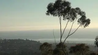 Hidden San Diego: Visiting La Jolla Natural Park