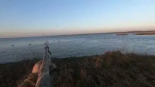 Some Highlights of the 2025 Duck Hunting season