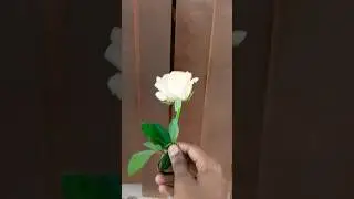 ,🥹Jai radhe Krishna 🥹🥰 #vlog #newminivlog #newvlog #youtubevideo #bkmindvlog